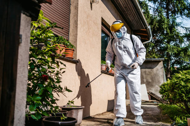 Best Termite Control Services  in St Cloud, MN