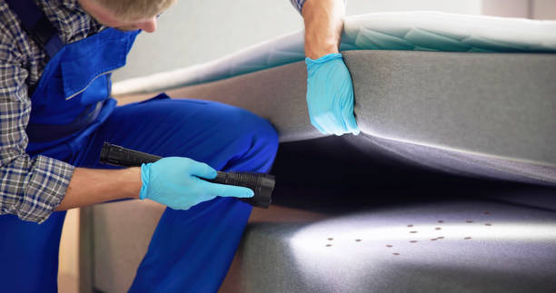 Best Cockroach Control Services  in St Cloud, MN