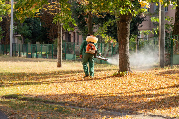 Best Flea Control Services  in St Cloud, MN