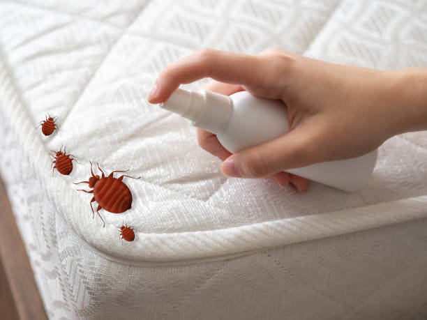 Best Local Pest Control Services  in St Cloud, MN