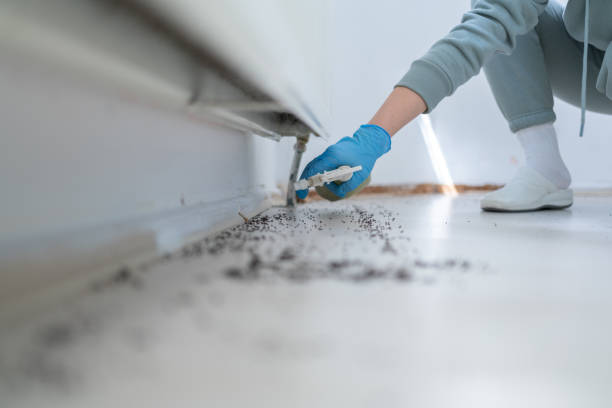 Best Mosquito Control Services  in St Cloud, MN