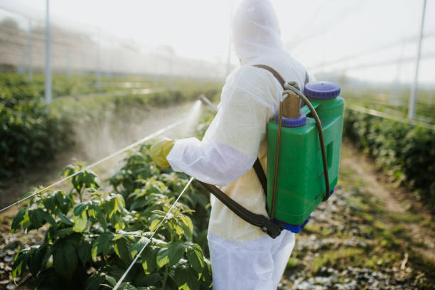 Best Pest Control for Homes  in St Cloud, MN